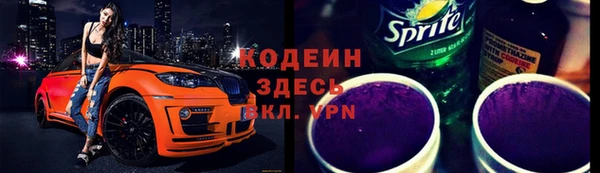 гидра Каменногорск