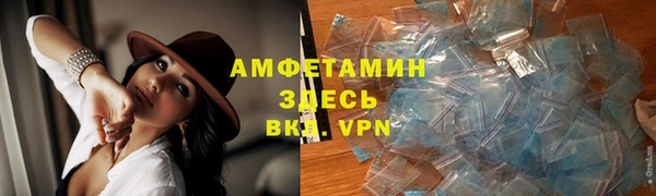 гидра Каменногорск