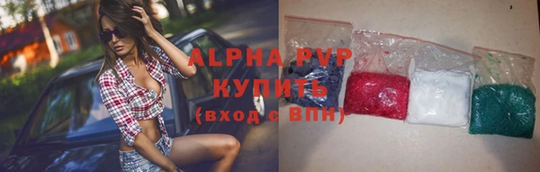 гашик Каменка