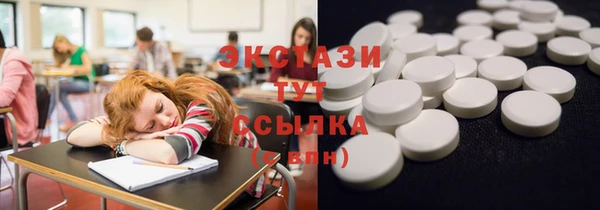 гашик Каменка