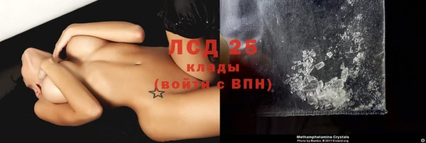 гидра Каменногорск