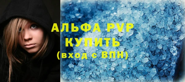 гашик Каменка