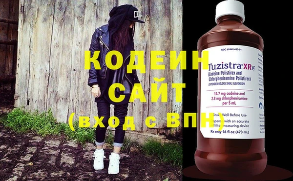 гашик Каменка