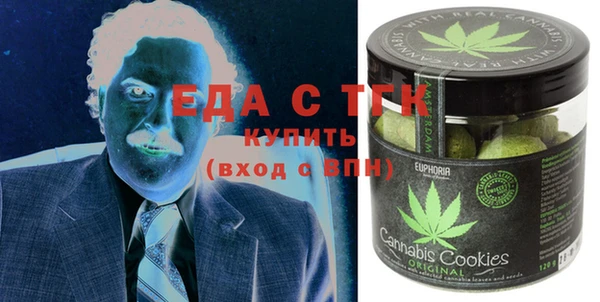 гашик Каменка