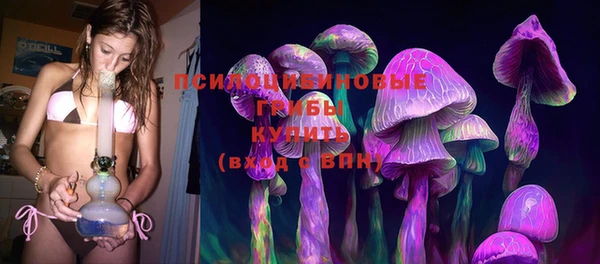 гидра Каменногорск