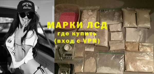 гашик Каменка