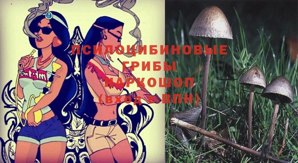 ПСИЛОЦИБИНОВЫЕ ГРИБЫ Каменск-Шахтинский
