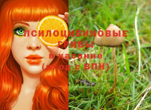 гидра Каменногорск