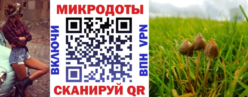 Псилоцибиновые грибы Magic Shrooms  купить   Лакинск 